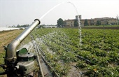 Crisi agricoltura trapanese. Mcl e Feder.Agri incontrano il Prefetto